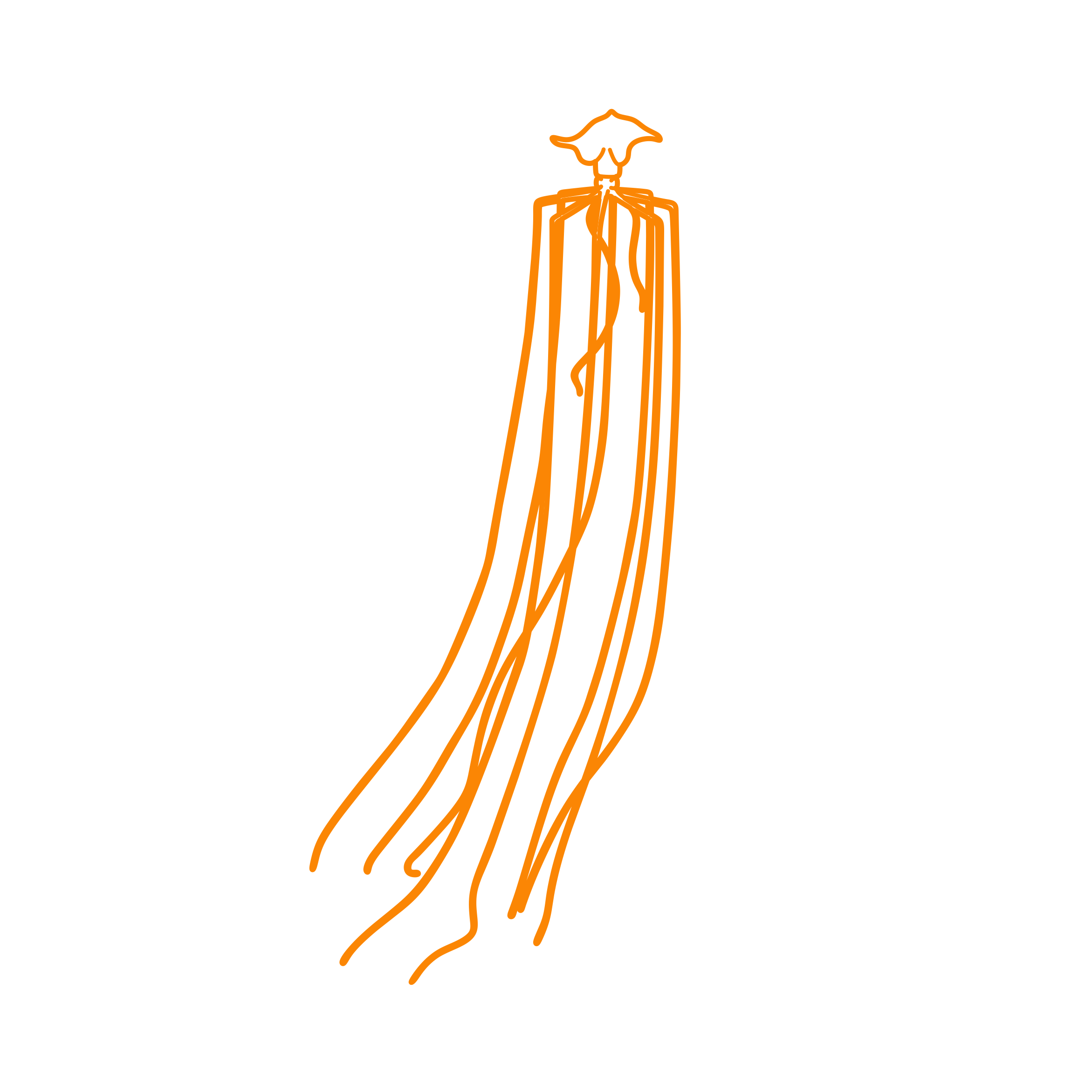 Animals Cephalopods Bigfin Squid Outline Svg Vector Free Vectors